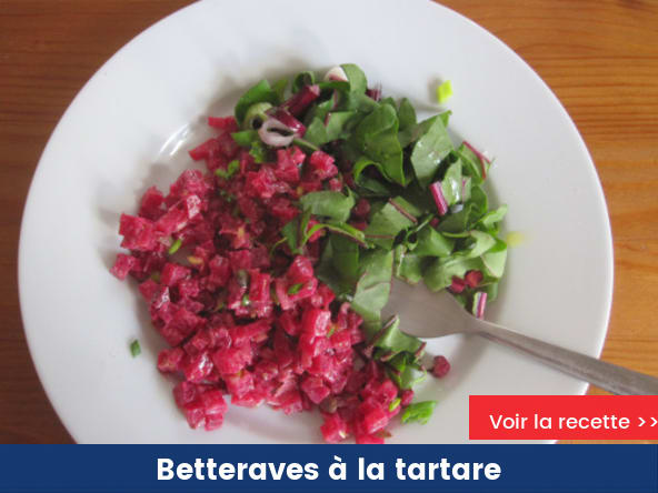 Betteraves à la tartare